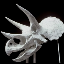 Javid Jooshesh's avatar